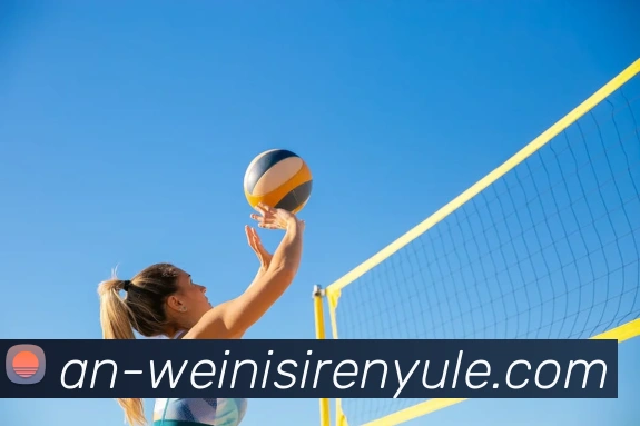 威尼斯人官网APP 体育赛事宣传图